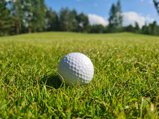 Golf ball on green grass of golf course copy space