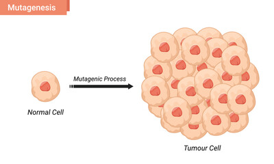Mutagenesis cell vector illustration, tumor cell proliferation - obrazy, fototapety, plakaty