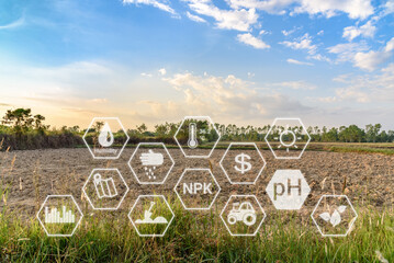 Soil preparation for crop production concept : Land preparation, plowing to till or dig-up, mix and...