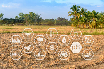 Soil preparation for crop production concept : Land preparation, plowing to till or dig-up, mix and...