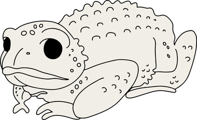 Sapo de cresta grande