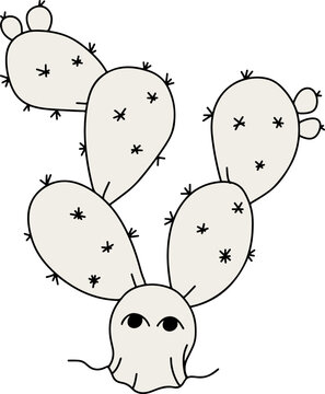 Nopal