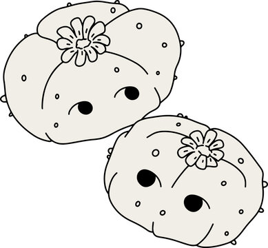Peyote
