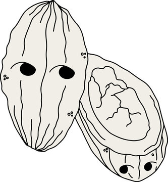 Cacao