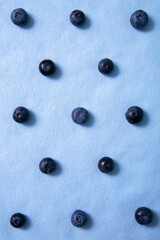 Vertical photo with pattern of parallel rows of blueberries