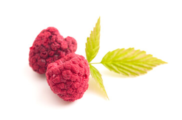 Freeze Dried Red Raspberries  Isolated on a White Background