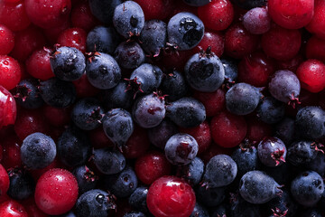 Blue and purple wild shadberries closeup. Macro food background. Drops on berries texture.