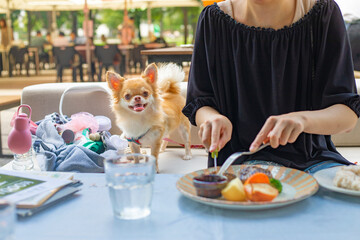 ペットを同伴して食事をする女性