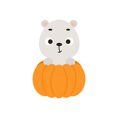Cute little polar bear sitting in a pumpkin. Cartoon animal character for kids t-shirts, nursery decoration, baby shower, greeting card, invitation. Vector stock illustration