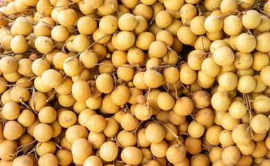 Dimocarpus longan Lour : Longan, (