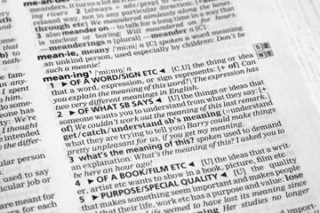 Dictionary definition of meaning