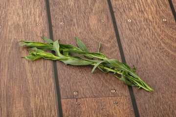 Green tarragon herb spice for cooking