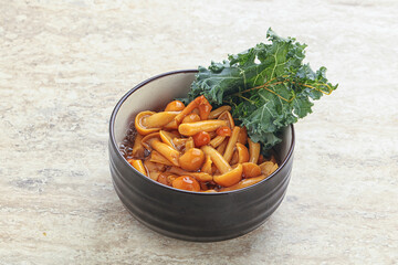 Wild pickled honey mushroom in the bowl