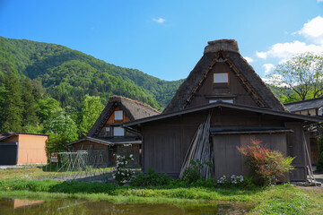 Fototapeta na wymiar 古い茅葺き屋根の日本家屋