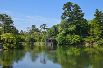Fototapeta na wymiar 日本の庭園
