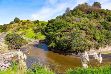 The nature of New Zealand