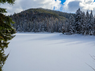 Frozen lake Synevyr against the background of a forest in the Carpathian mountains. Winter lake among the snow-covered woods. Beautiful landscapes with coniferous forest on a bright sunny day. © pijav4uk