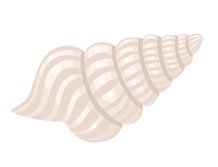 Colorful tropical underwater shell cartoon design vector illustration isolated on white background