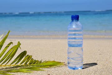 transparent bottle of water on the ocean and palm leaf