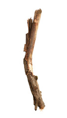 Fototapeta premium Broken wooden stick isolated on white background
