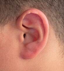 Ear on the boy's head. Macro