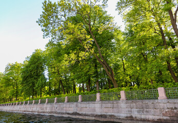 Green leaves on the trees in the park near the river.