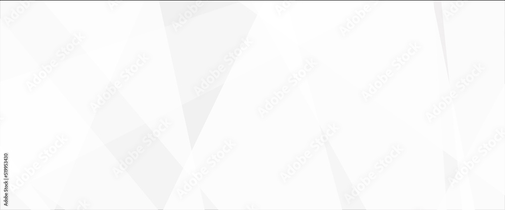 Poster abstract background with lines, grey white abstract stripe background geometry shine and layer eleme