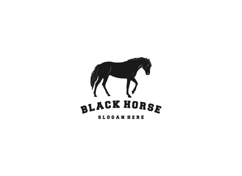 black horse logo template in white background
