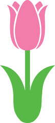 Tulip 5 1a