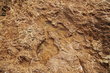Brown nature rock stone texture - abstract surface - image from Phuket Thailand 