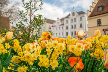 A beautiful flower bed in front of the store