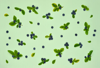 Fresh blueberries with leaves isolated on light green background. Top view, flat lay. Healthy food, delicious dessert  concept.