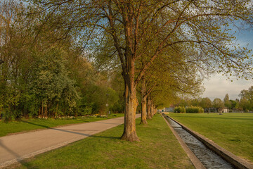 klenzepark_ ingolstadt, A beautiful summer sunset in a park in germany