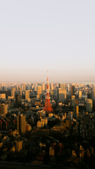Japan cityscape, city view with Tokyo tower at the time of sunset
