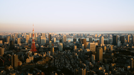 Fototapeta na wymiar Japan cityscape, city view with Tokyo tower at the time of sunset