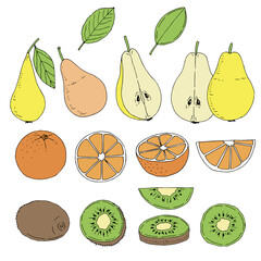 Fruit set vector illustration, hand drawing colored sketch