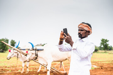 Happy smiling farmer using mobile phone at farmland in front farming cattle - concept of...