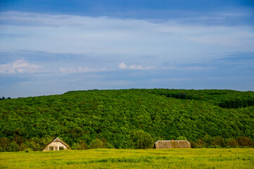 small houses on the edge of a Ukrainian village near a deep forest