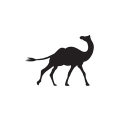 Fototapeta na wymiar Desert camel transportation icon logo design