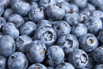 Ripe blueberry berries close up