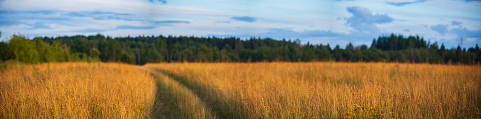 Rural road in the middle of an agricultural field. Beautiful natural rural landscape