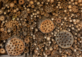 Cluster of woods with holes made by bugs, used as background