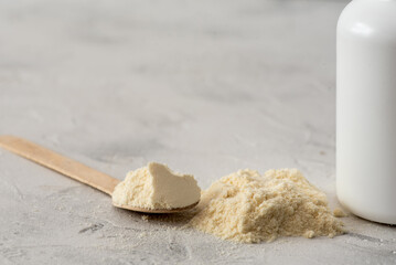 Pile of bovine colostrum powder with wooden spoon and white container on white background....