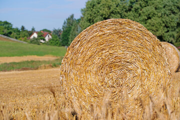 Stroh zu Rundballen geformt auf dem Feld