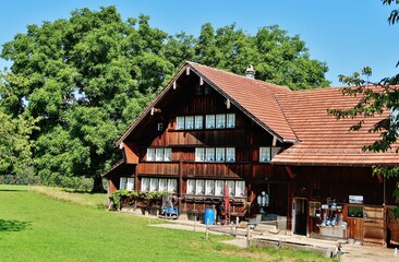 Fototapeta na wymiar Appenzeller Bauernhaus, Ostschweiz