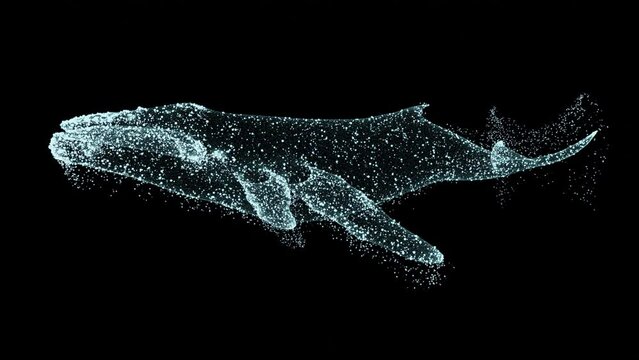 Animated Particle Whale Floats. 4K