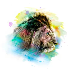 Foto op Aluminium Lion head with colorful creative abstract element on white background © reznik_val