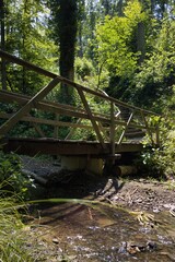 Eine Brücke im Wald bei Odenthal
