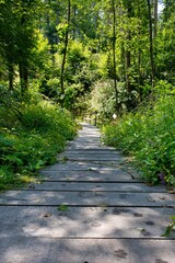 Steg durch den Wald bei Odenthal
