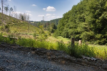 Spaziergang im Wald bei Odenthal